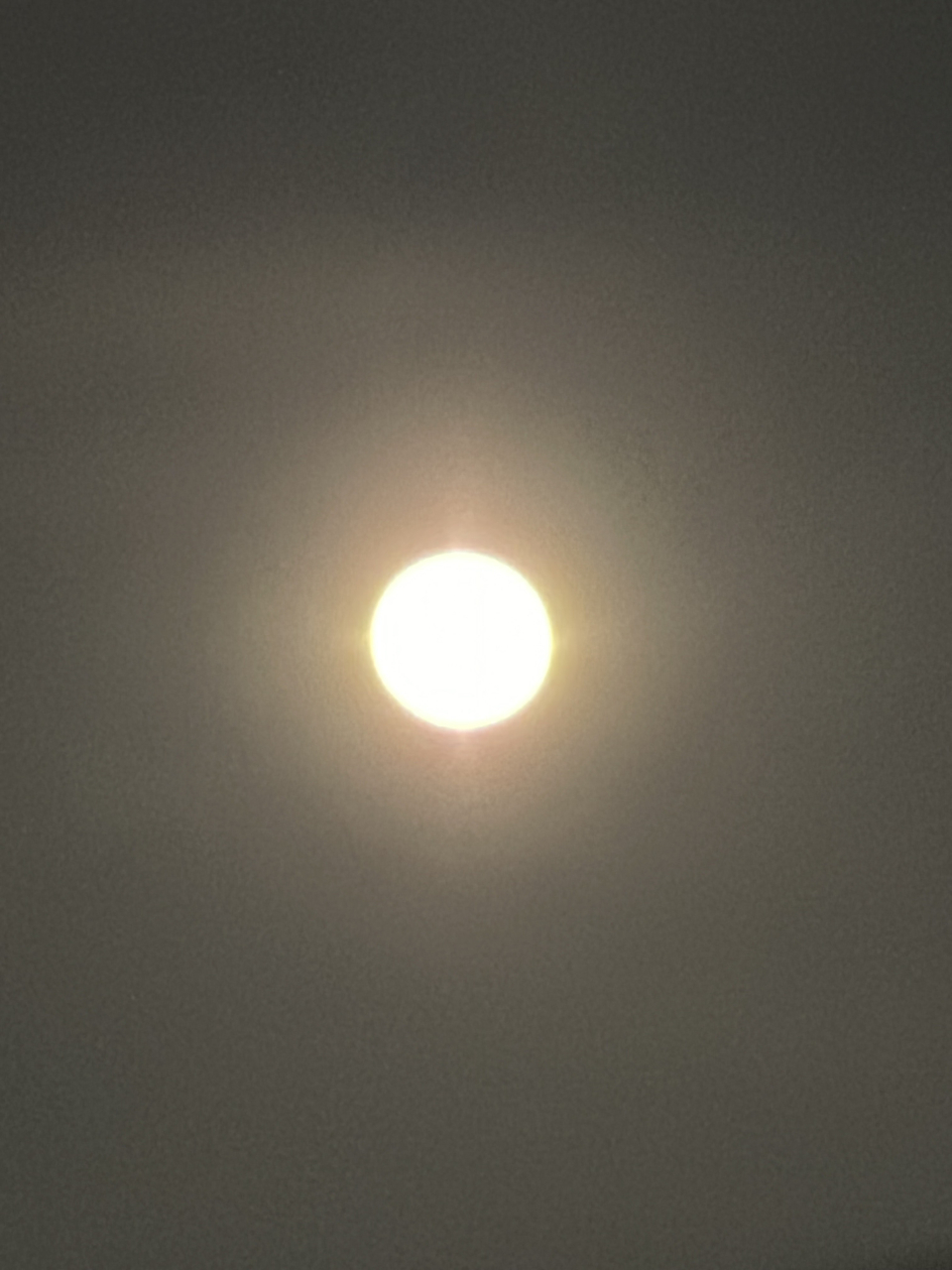 202502フラワームーン