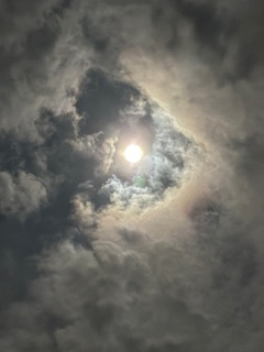 IMG_4020 202510中秋の名月