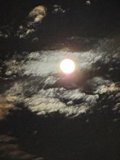 202511ビーバームーン